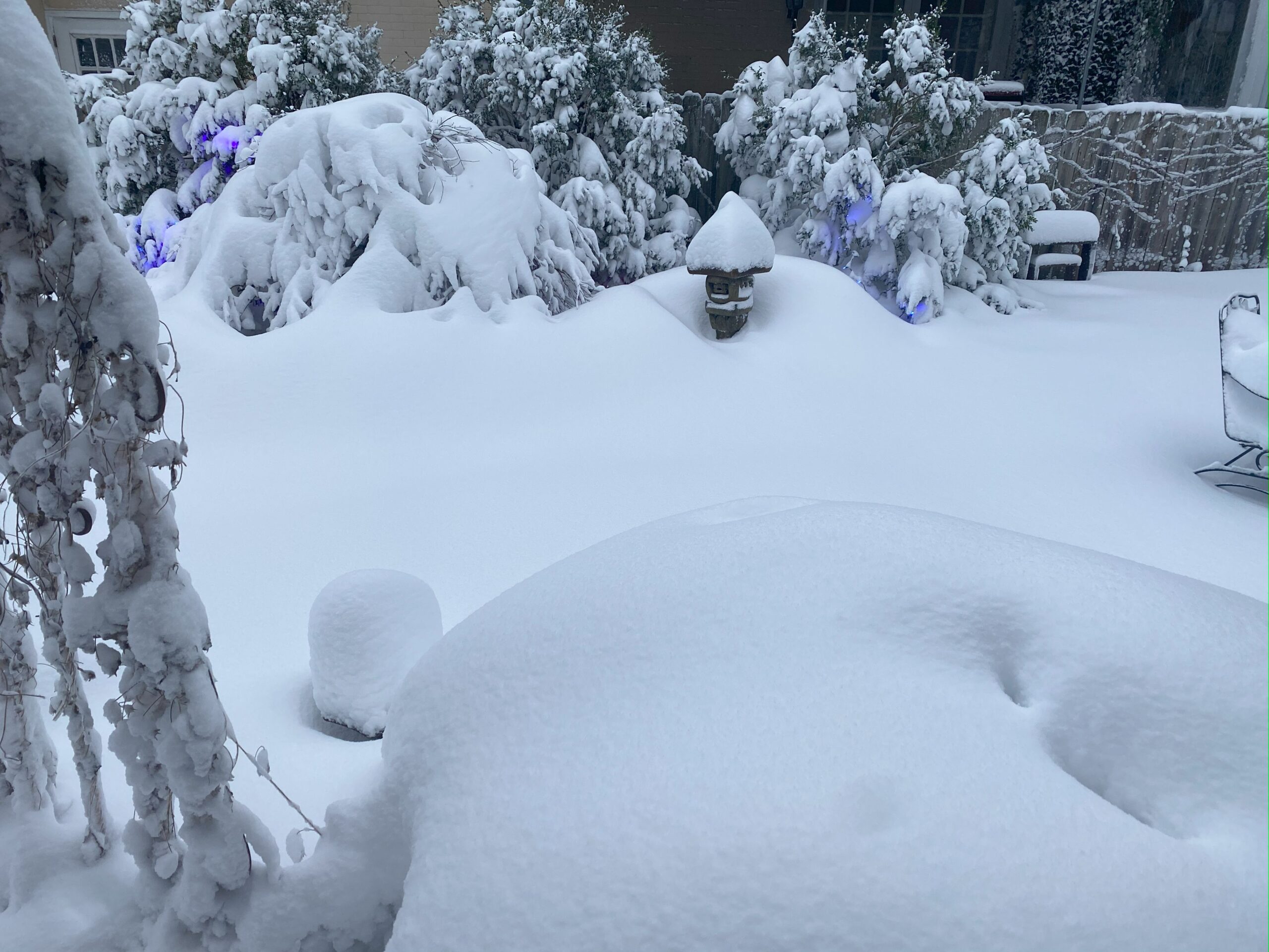 Looking onto a courtyard garden in winter with over a foot of snow draped over a table, lantern, and bushes
