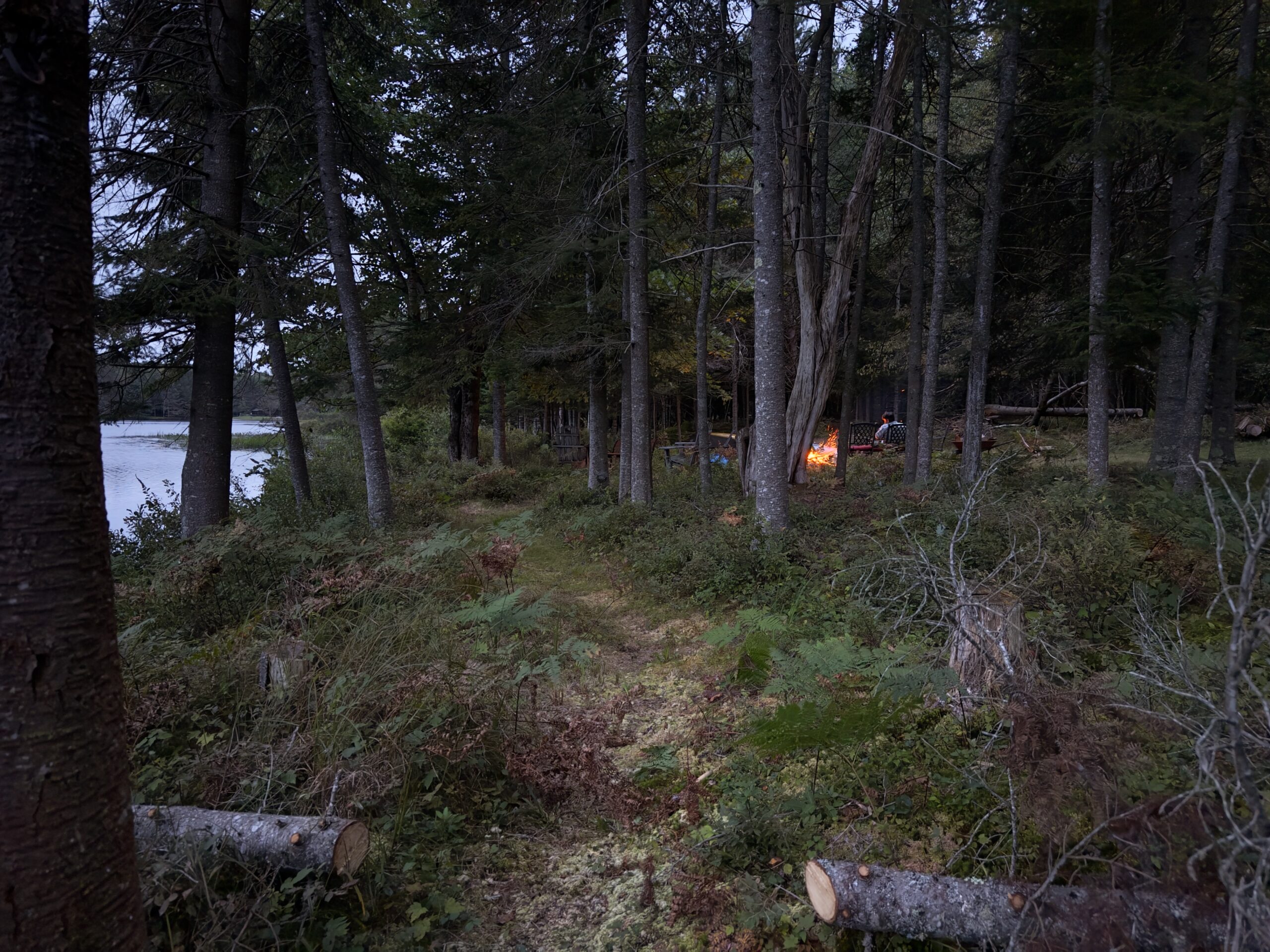 A photograph showing an evening on the water and a lake shore path beginning to develop.