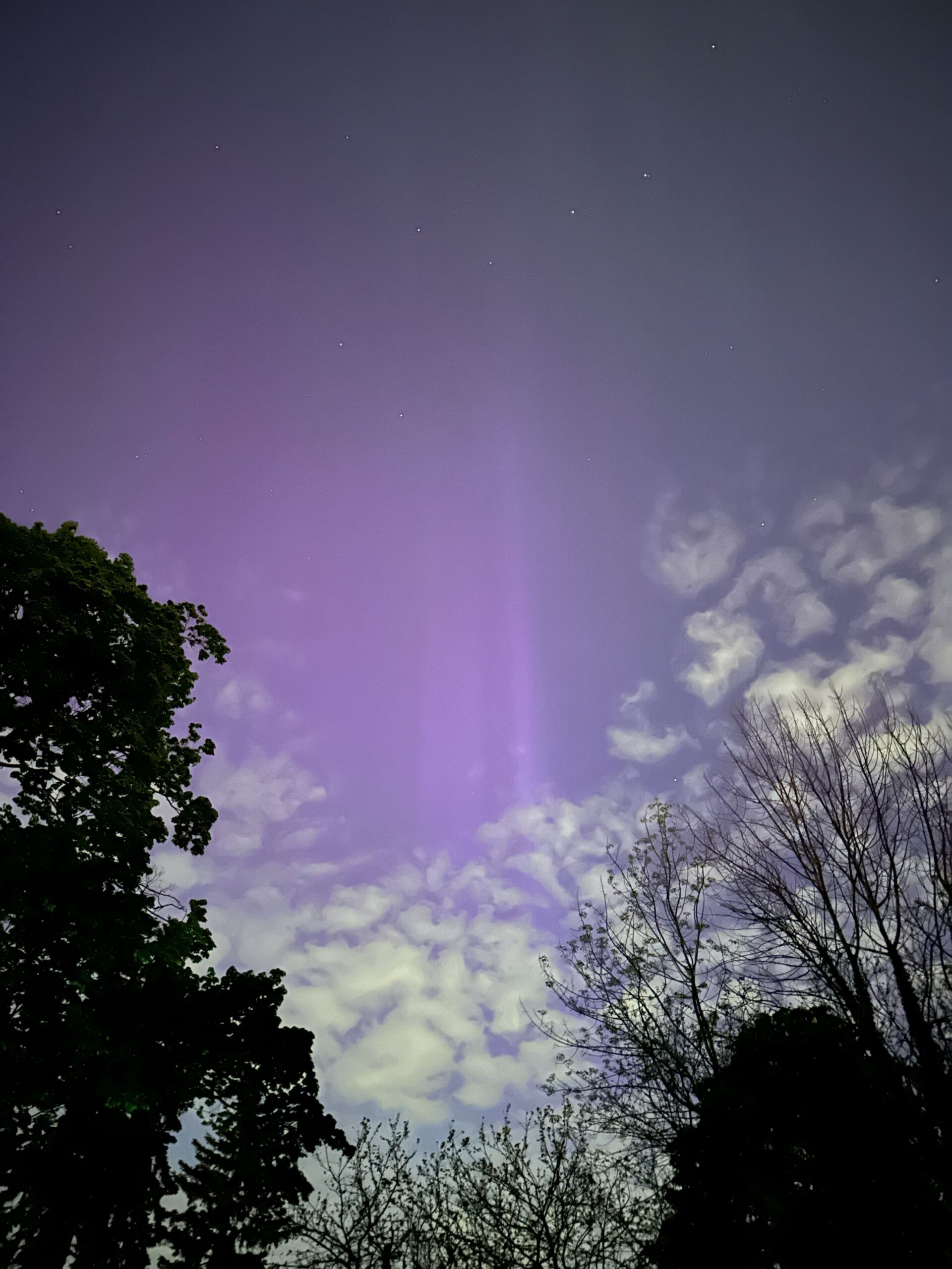 An iPhone photograph looking up at a night sky of Streaming purple northern lights stretching behind cloud formations. A tree line appears in silhouette along the bottom edge.
