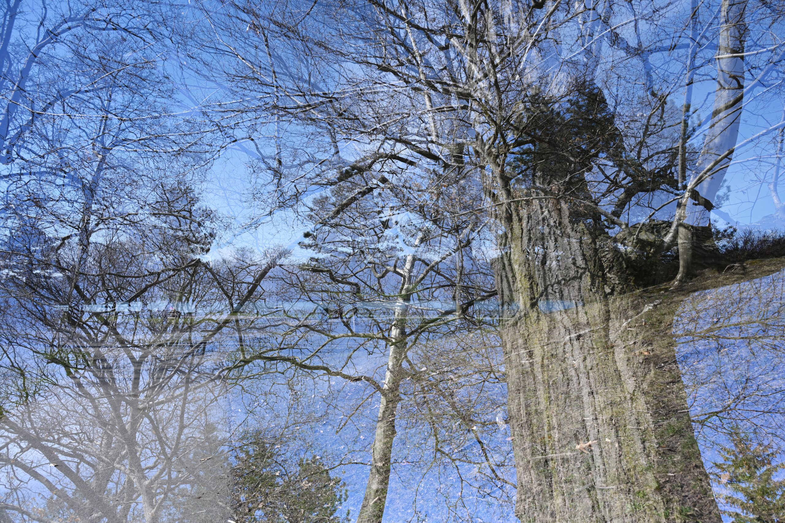 A double exposure photograph of a very early spring landscape of sky, lake, and trees.