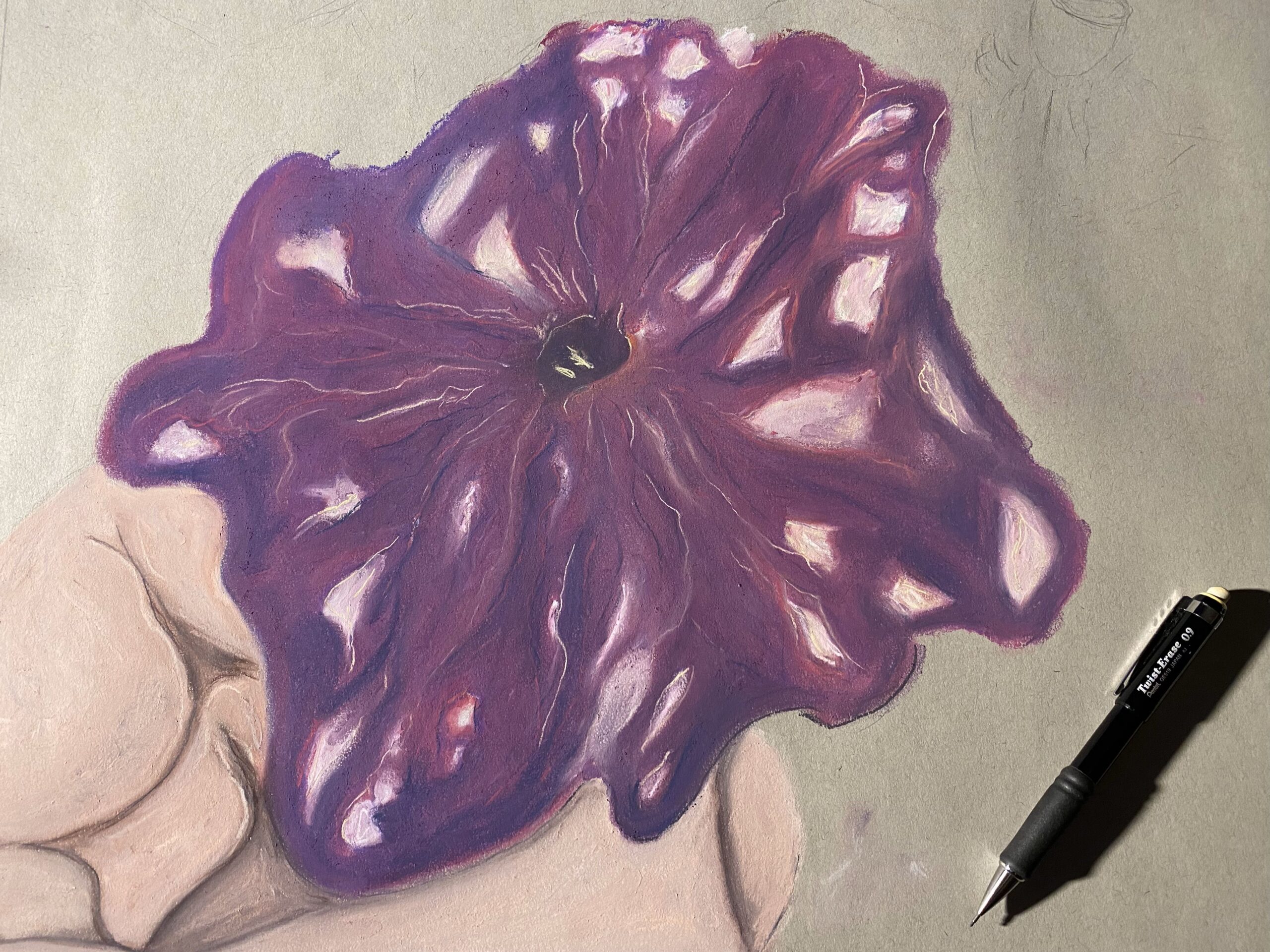 A photograph of an in progress pastel painting of a purple petunia. A pencile lies on the paper for scale.